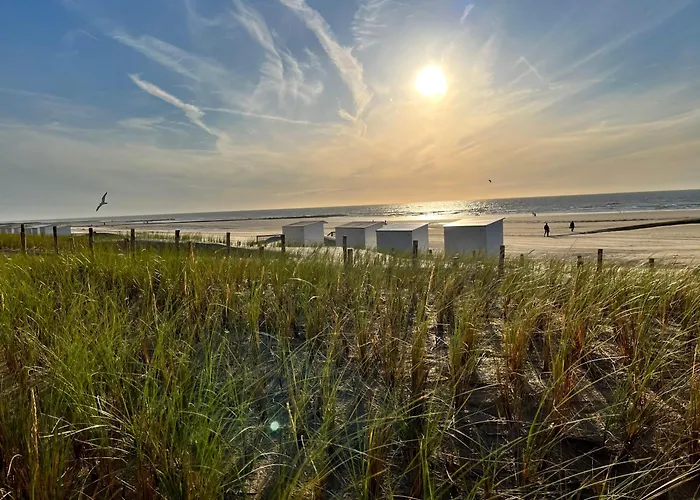 Beach Bungalow Green